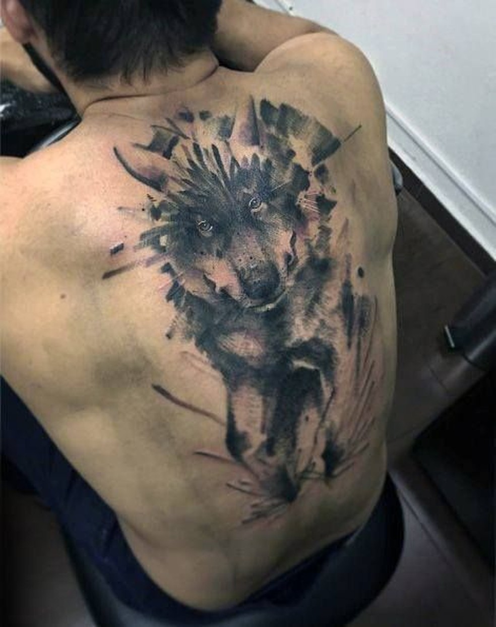 Costas: Um lobo, o animal que representa o signo. — Foto: Reprodução/Pinterest