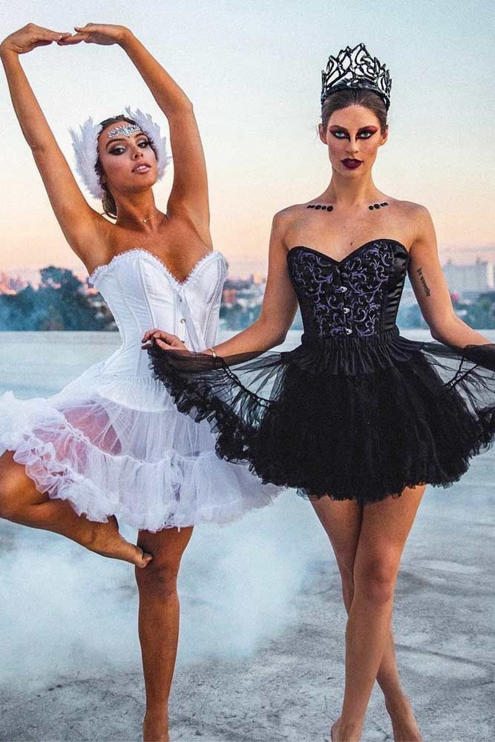 Fantasia de cisne branco e cisne negro — Foto: Reprodução Pinterest