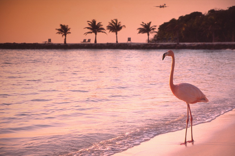 As belezas de Aruba — Foto: Getty Images