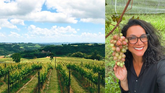 Serra Gaúcha: o Brasil que te recebe com vinho e afeto