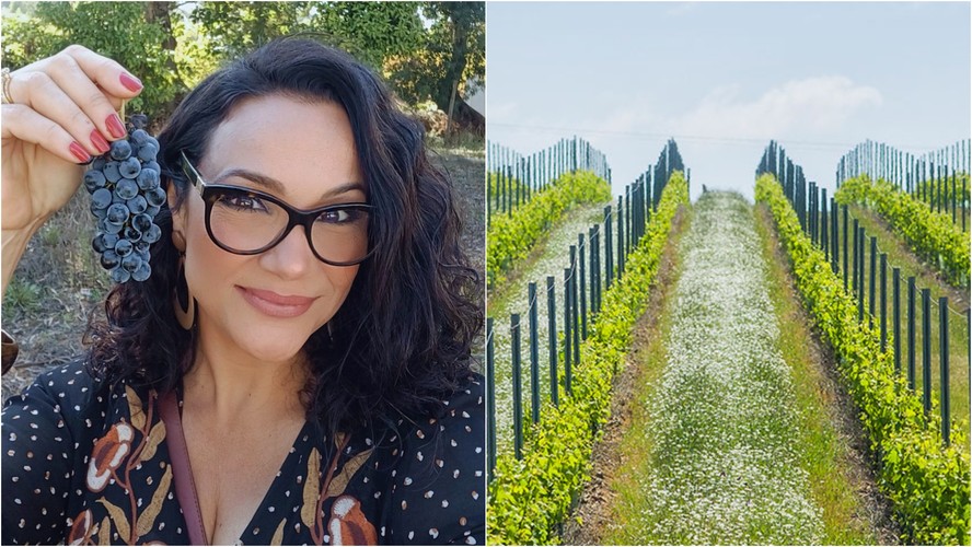 O Alentejo é a região de Portugal ideal para quem aprecia bons vinhos e preza pela sustentabilidade
