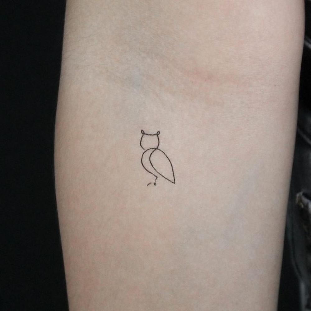 Tatuagem de coruja feminina: 43 estilos diferenciados para você ...