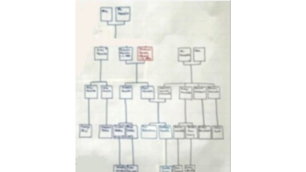 Elizabeth Hunterto conseguiu 32 nomes na árvore genealógica — Foto: Reprodução/TikTok
