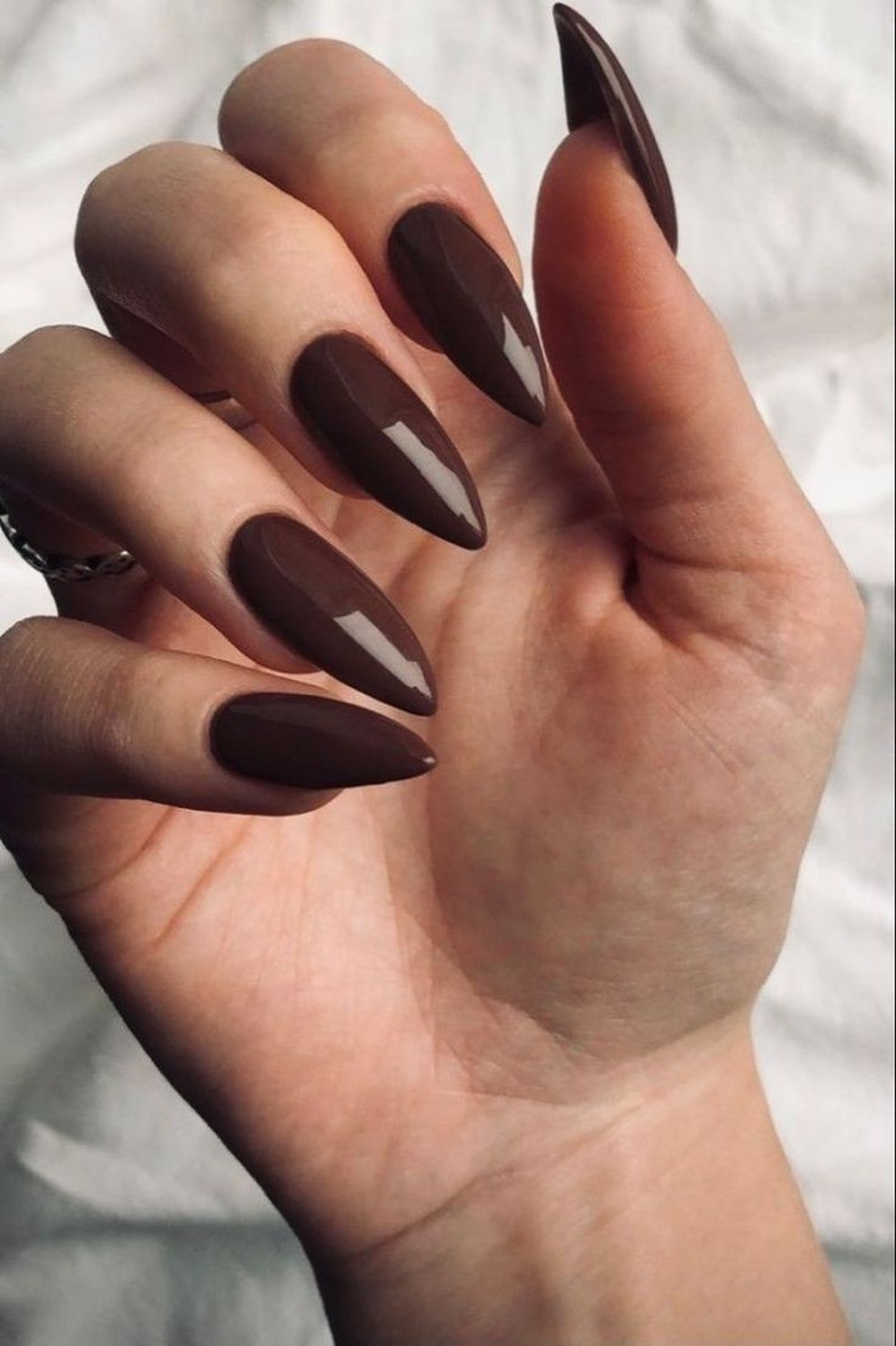 Unhas decoradas de marrom: 25 inspirações sofisticadas e elegantes para ...